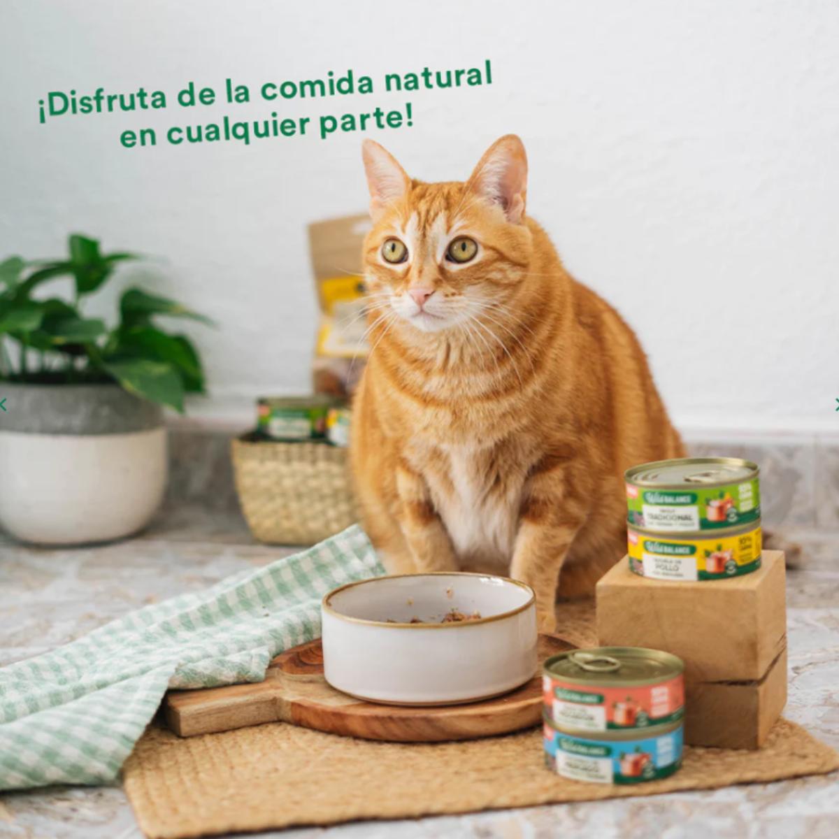 Lata completa Cazuela de Pollo para Gatos Wild Balance 80 g