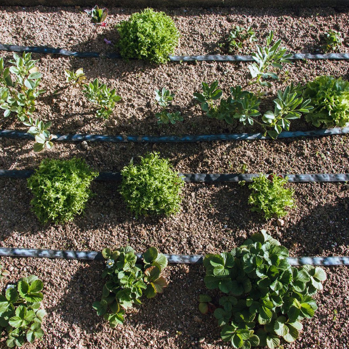 Tubería de Riego por Exudación en Rollo Agro Planeta Huerto 100 m
