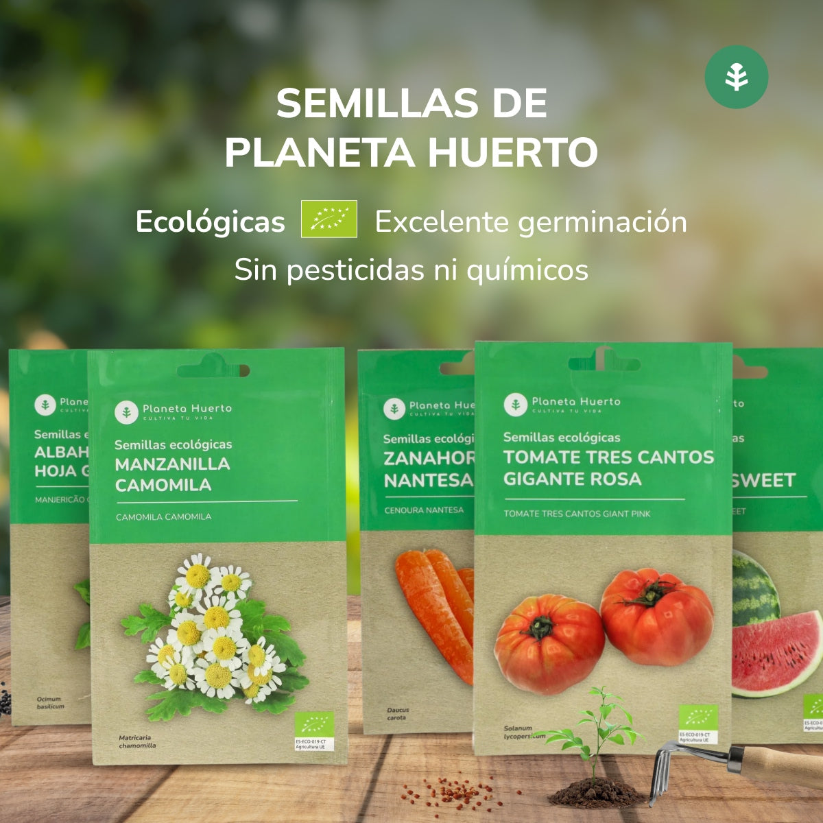 Semillas de Melón piel de sapo ecológicas Planeta Huerto