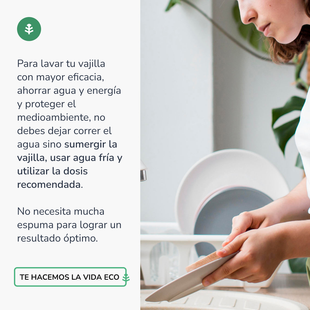 Lavavajillas Manual Té Verde ECO Planeta Huerto 750ml