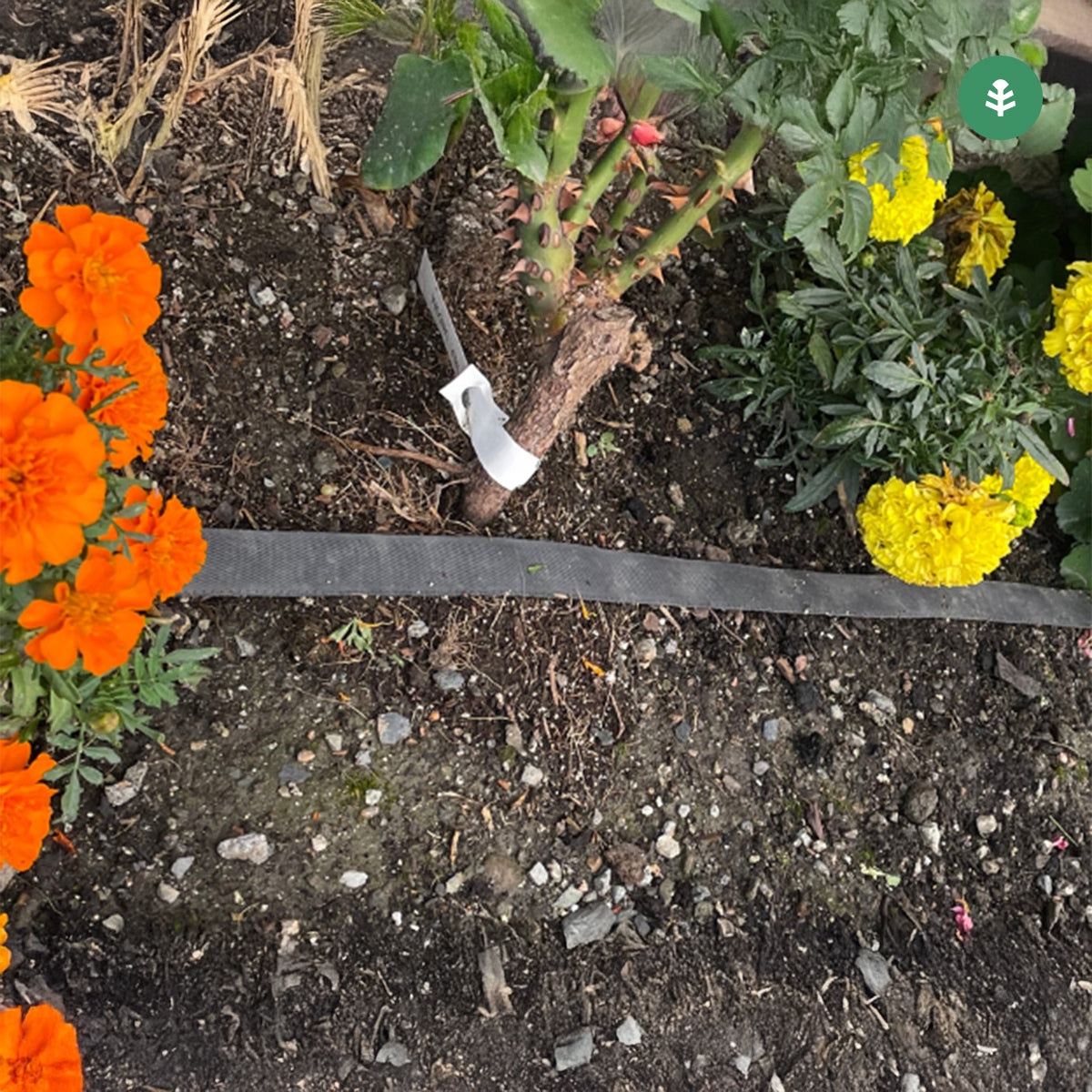 Tubería de Riego por Exudación en Rollo Agro Planeta Huerto 200 m
