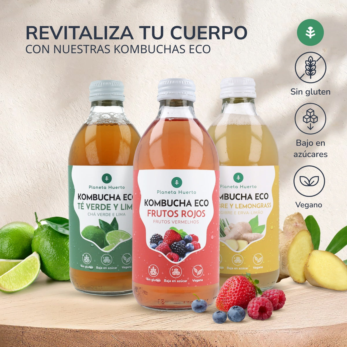 Pack 12x Kombucha ECO Jengibre y lemongrass Planeta Huerto 330 ml