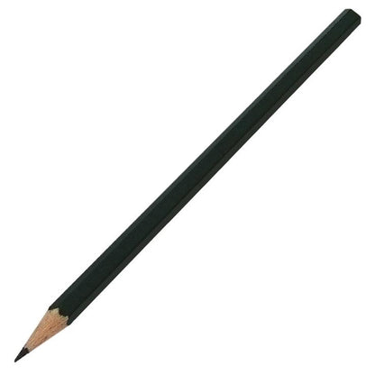 Etiquetas zinc 25 cm Biotop – 10 unidades + lápiz para huerto y jardín