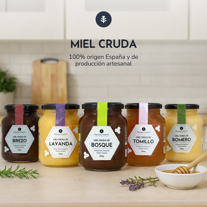 Pack 6x Miel Cruda de Bosque Planeta Huerto 1 Kg