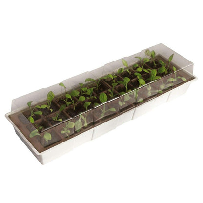 Mini invernadero repisa ventana Kit Windows Nortene 49x15,5 cm
