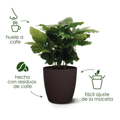 Macetero reciclado Coffee Collection Round Elho 22 cm