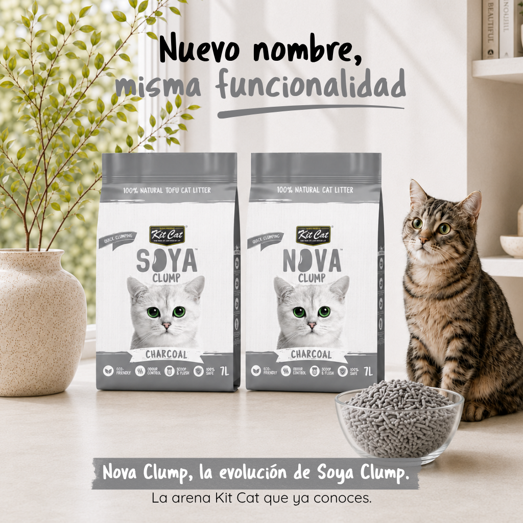Eco SoyaClump Cat Litter Kit - Charcoal 7 L Cat litter