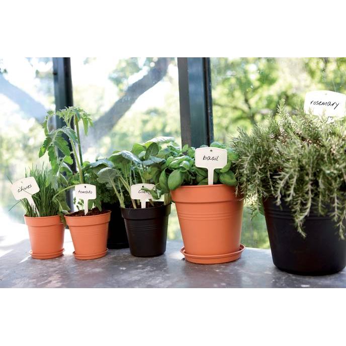 Maceta Green Basics Elho Antracita 30 cm