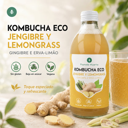 Kombucha ECO Ginger and lemongrass Planeta Huerto 330 ml