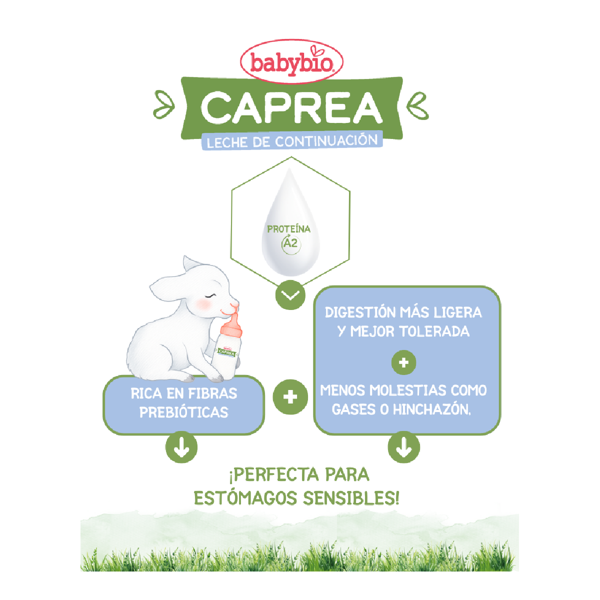 Pack of 3 Caprea 3 goat's milk growth formula (12 months to 3 years) 800 g