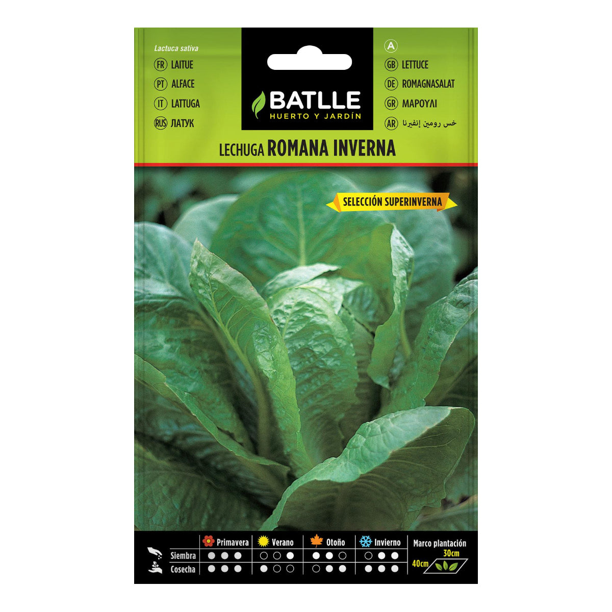 Semillas de Lechuga Inverna sel. Super Inverna Batlle
