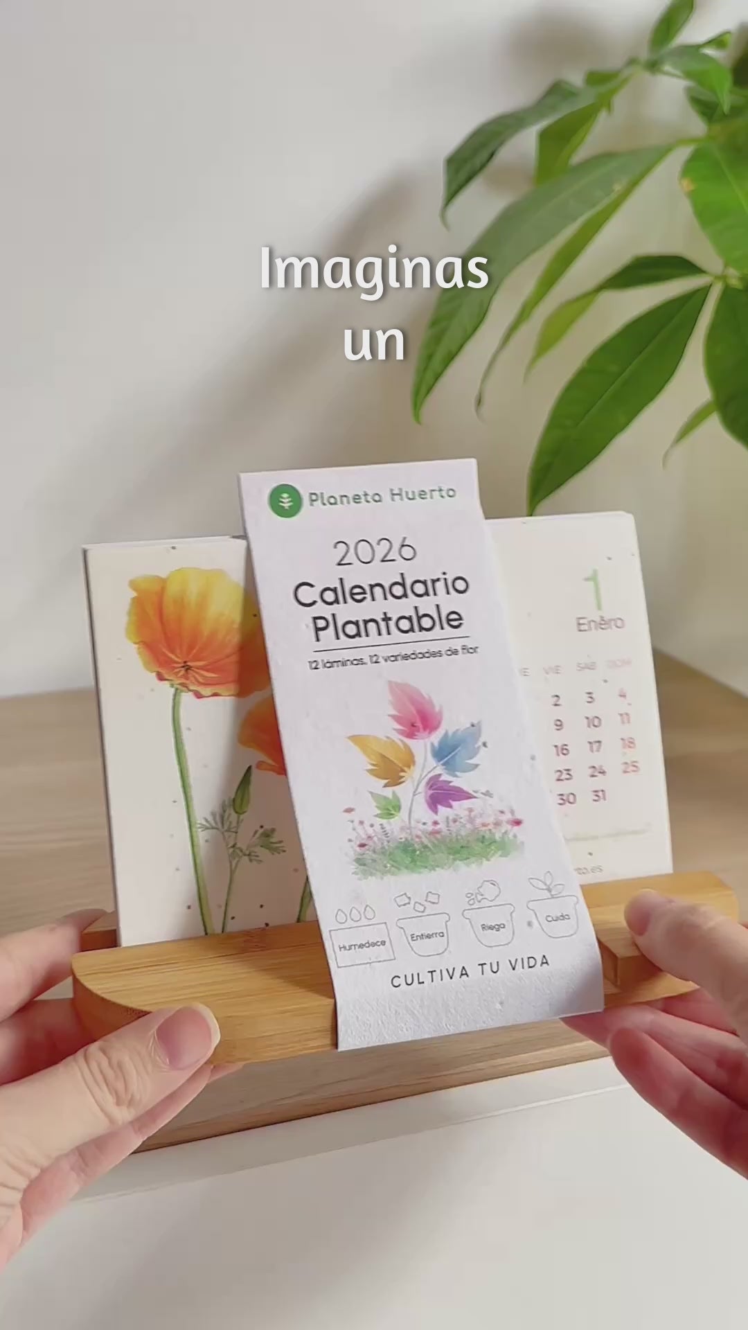 Plantable Calendar 2025 Planet Orchard Transform time into nature