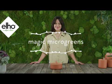 Elho Green Magic Microgreens Sprouter